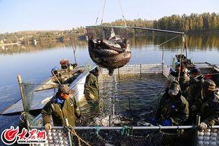 捕鱼八卦阵,揭秘古代渔猎智慧与阵法传奇